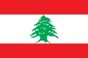 Drawing File Cabinet in Lebanon