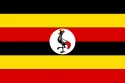 Perfo tool board in Uganda